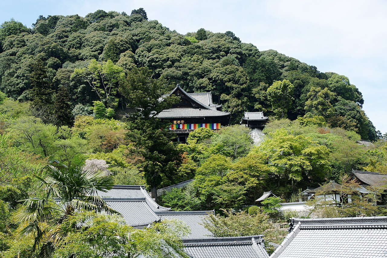 Hasedera