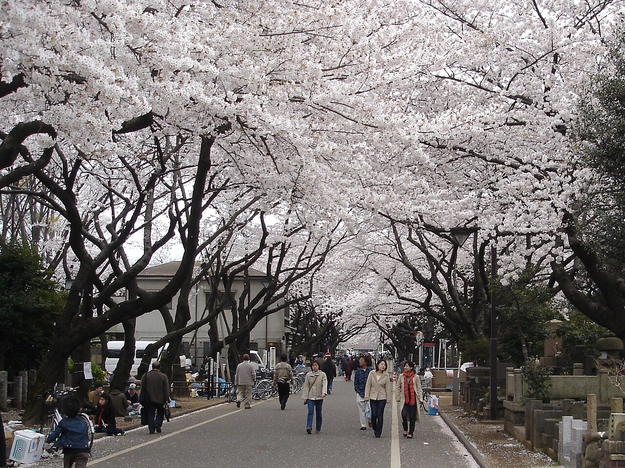 Yanaka Cemetery