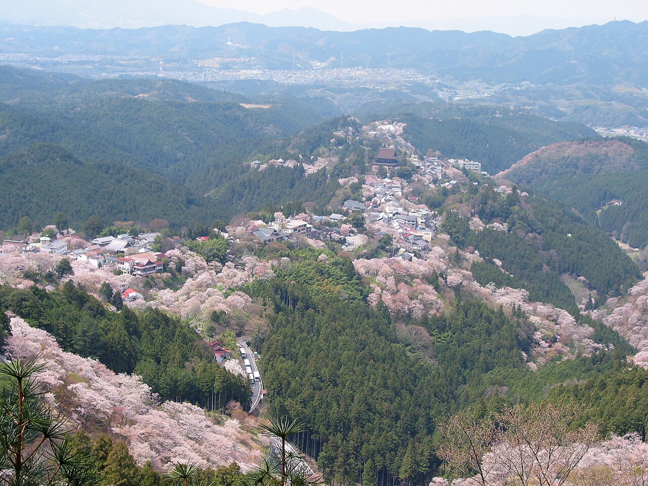 Yoshino Mountain