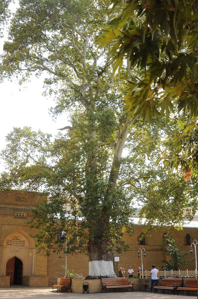 Derbent Mosque